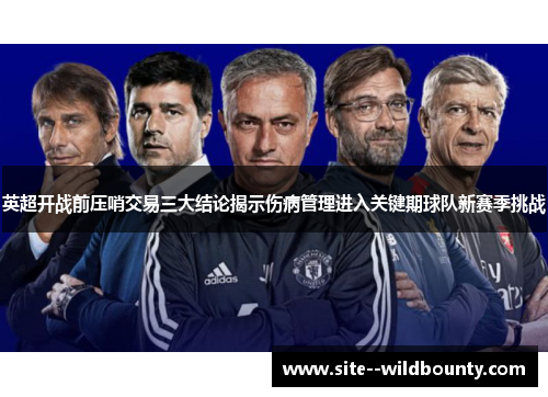 英超开战前压哨交易三大结论揭示伤病管理进入关键期球队新赛季挑战