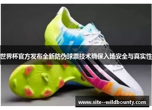 世界杯官方发布全新防伪球票技术确保入场安全与真实性 世界杯官方发布全新防伪球票技术确保入场安全与真实性