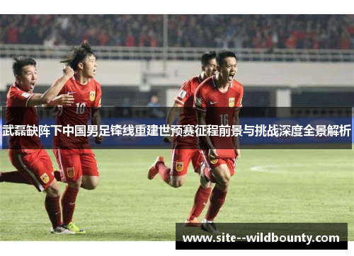 武磊缺阵下中国男足锋线重建世预赛征程前景与挑战深度全景解析