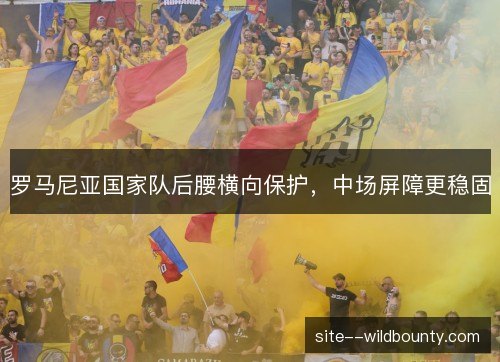 罗马尼亚国家队后腰横向保护,中场屏障更稳固 罗马尼亚国家队后腰横向保护,中场屏障更稳固